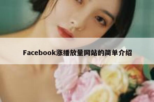Facebook涨播放量网站的简单介绍 第1张