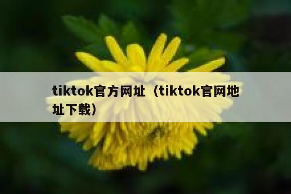 tiktok官方网址（tiktok官网地址下载） 第1张