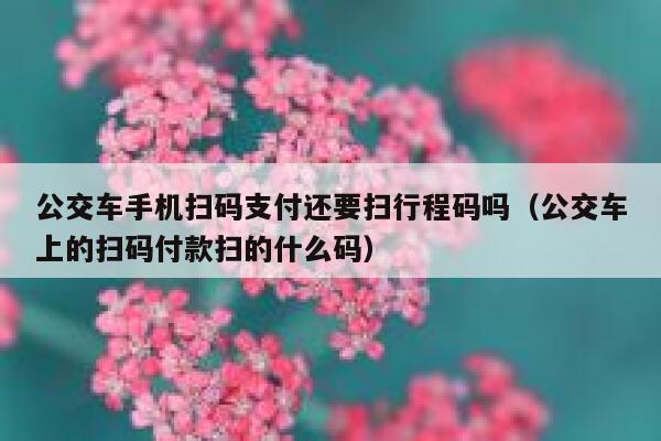 公交车手机扫码支付还要扫行程码吗（公交车上的扫码付款扫的什么码） 第1张