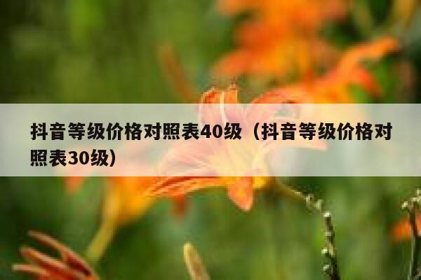 抖音等级价格对照表40级（抖音等级价格对照表30级） 第1张