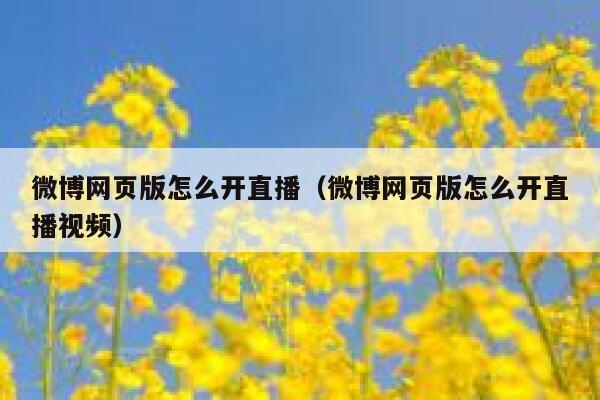 微博网页版怎么开直播（微博网页版怎么开直播视频） 第1张