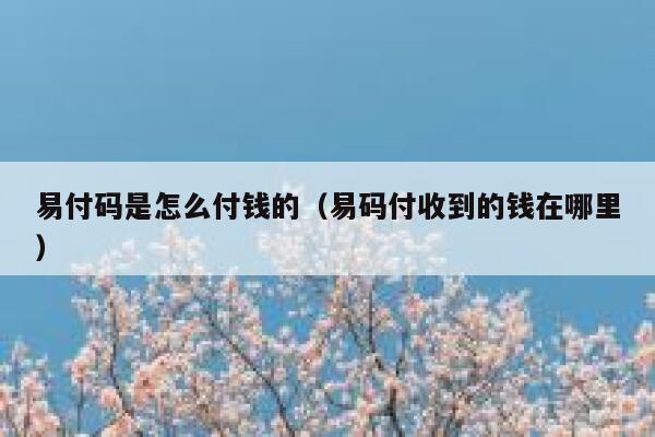 易付码是怎么付钱的（易码付收到的钱在哪里） 第1张