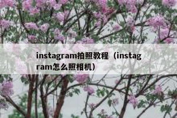 instagram拍照教程（instagram怎么照相机） 第1张