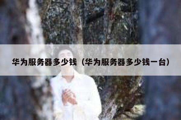 华为服务器多少钱（华为服务器多少钱一台） 第1张