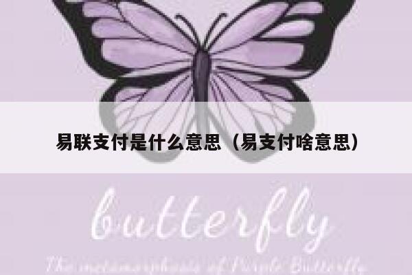 易联支付是什么意思（易支付啥意思） 第1张