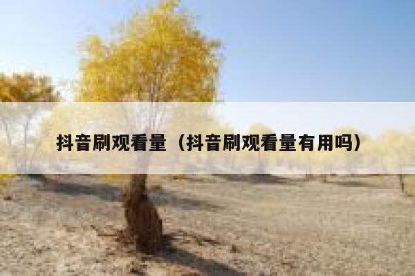 抖音刷观看量（抖音刷观看量有用吗） 第1张