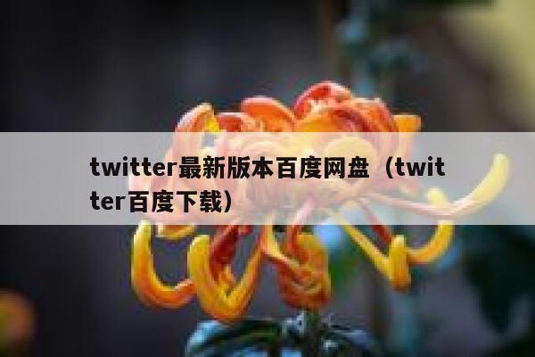 twitter最新版本百度网盘（twitter百度下载） 第1张