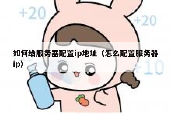 如何给服务器配置ip地址（怎么配置服务器ip） 第1张