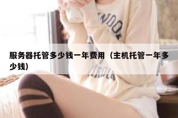 服务器托管多少钱一年费用（主机托管一年多少钱） 第1张