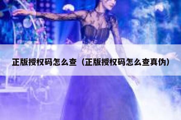 正版授权码怎么查（正版授权码怎么查真伪） 第1张