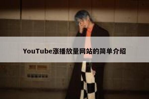 YouTube涨播放量网站的简单介绍 第1张