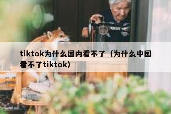 tiktok为什么国内看不了（为什么中国看不了tiktok） 第1张
