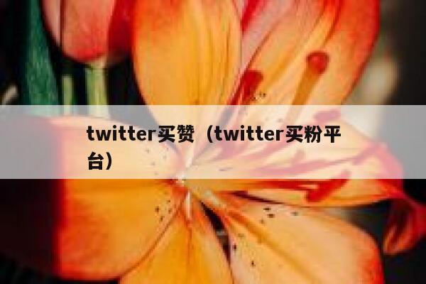 twitter买赞（twitter买粉平台） 第1张
