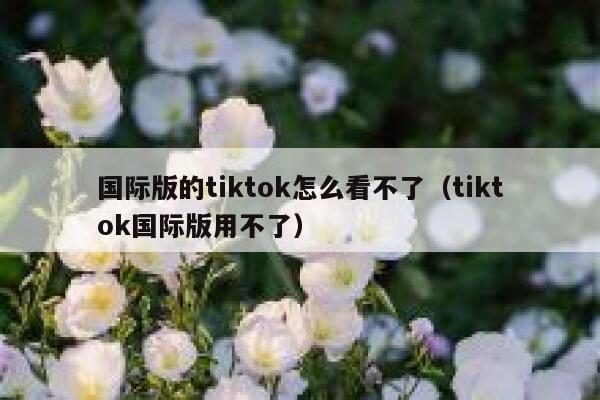 国际版的tiktok怎么看不了（tiktok国际版用不了） 第1张