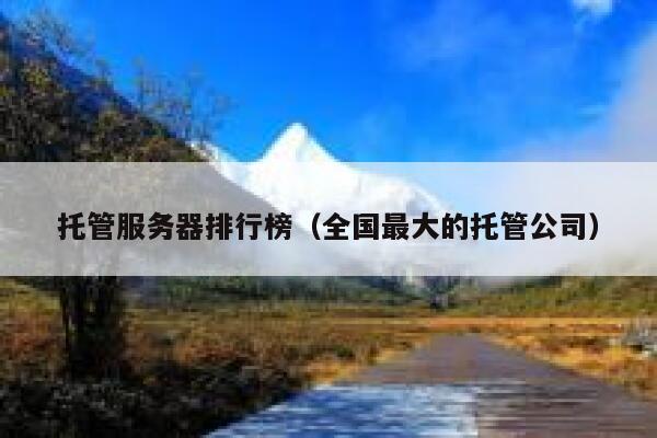 托管服务器排行榜（全国最大的托管公司） 第1张