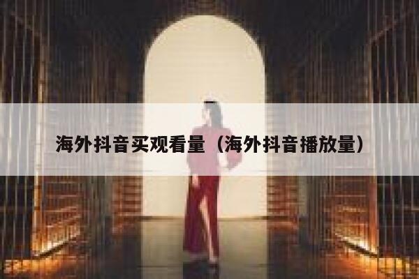 海外抖音买观看量（海外抖音播放量） 第1张