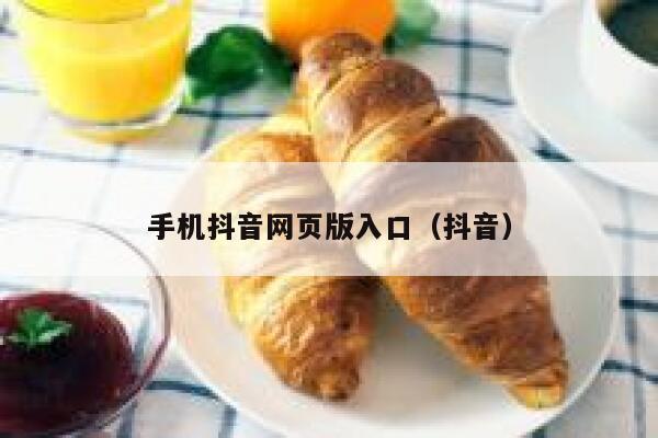 手机抖音网页版入口（抖音） 第1张