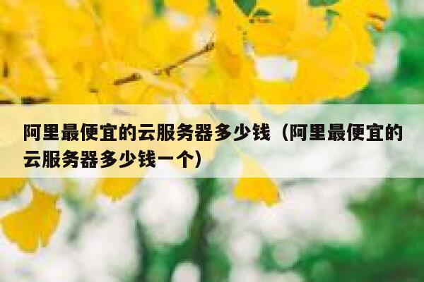 阿里最便宜的云服务器多少钱（阿里最便宜的云服务器多少钱一个） 第1张