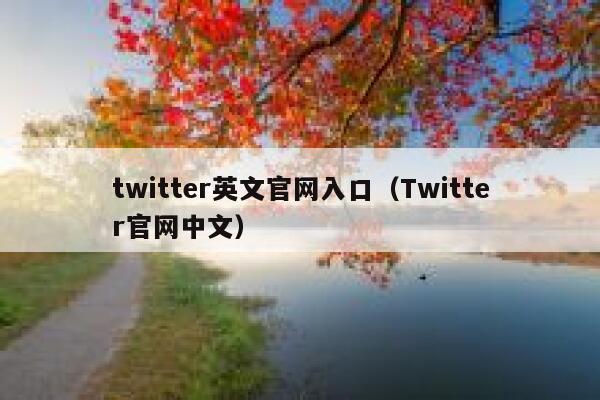 twitter英文官网入口（Twitter官网中文） 第1张