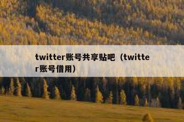 twitter账号共享贴吧（twitter账号借用） 第1张