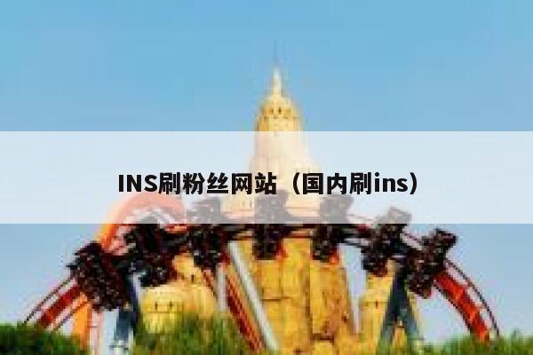 INS刷粉丝网站（国内刷ins） 第1张