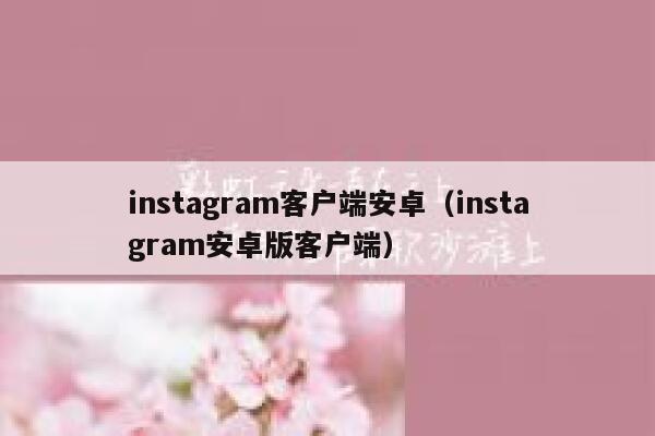 instagram客户端安卓（instagram安卓版客户端） 第1张