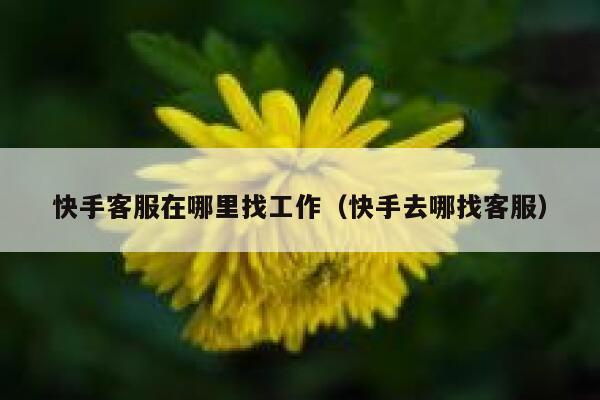 快手客服在哪里找工作（快手去哪找客服） 第1张
