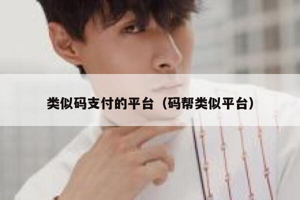 类似码支付的平台（码帮类似平台） 第1张