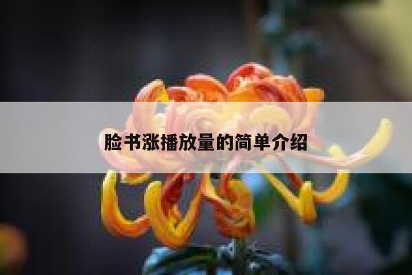 脸书涨播放量的简单介绍 第1张