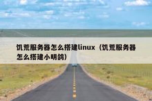 饥荒服务器怎么搭建linux（饥荒服务器怎么搭建小明鸽） 第1张