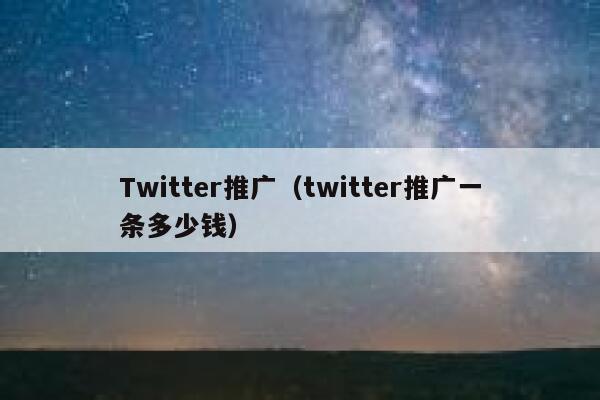 Twitter推广（twitter推广一条多少钱） 第1张