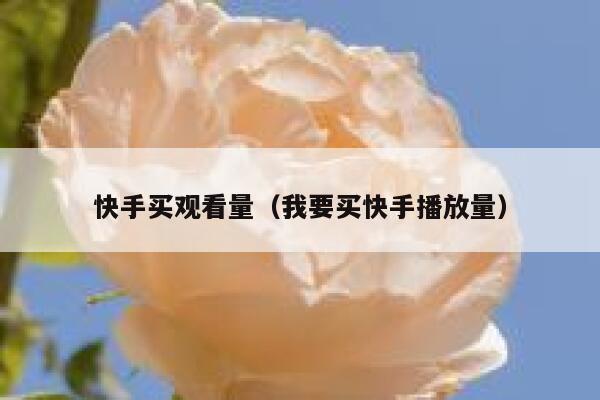 快手买观看量（我要买快手播放量） 第1张