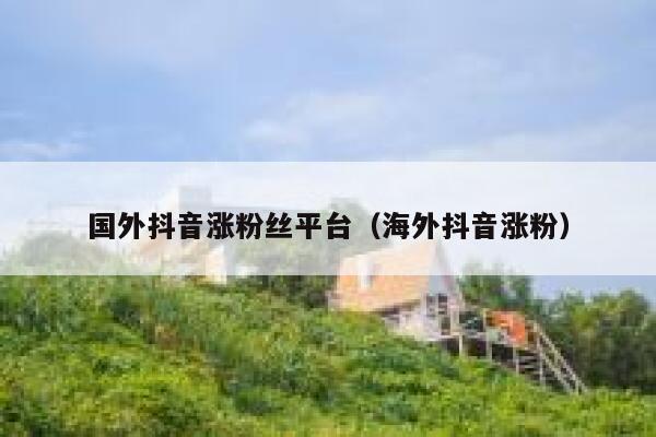 国外抖音涨粉丝平台（海外抖音涨粉） 第1张