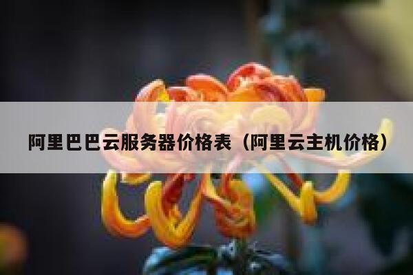 阿里巴巴云服务器价格表（阿里云主机价格） 第1张