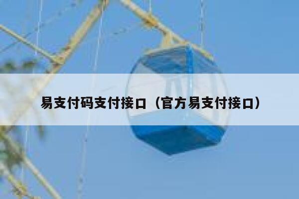 易支付码支付接口（官方易支付接口） 第1张