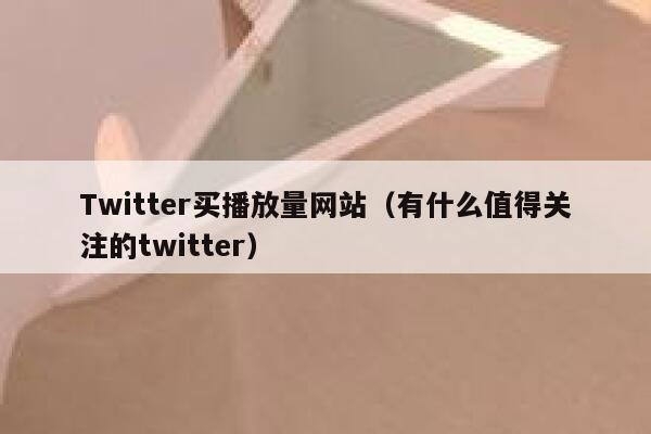 Twitter买播放量网站（有什么值得关注的twitter） 第1张