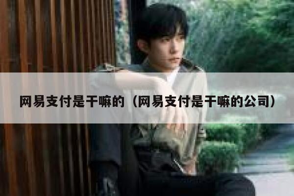 网易支付是干嘛的（网易支付是干嘛的公司） 第1张