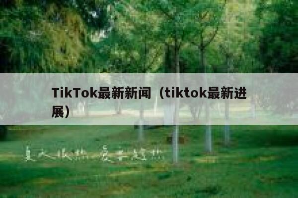 TikTok最新新闻（tiktok最新进展） 第1张