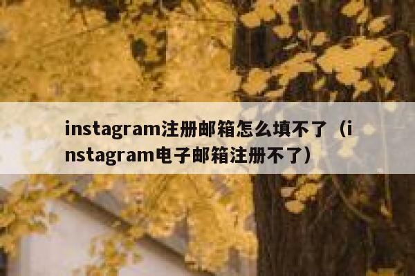 instagram注册邮箱怎么填不了(instagram电子邮箱注册不了) 第1张 instagram注册邮箱怎么填不了(instagram电子邮箱注册不了) 第1张