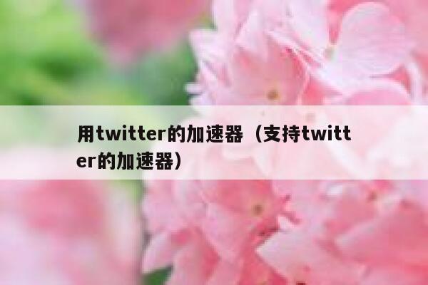 用twitter的加速器（支持twitter的加速器） 第1张