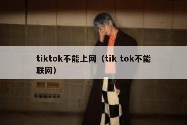 tiktok不能上网（tik tok不能联网） 第1张
