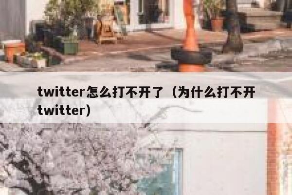 twitter怎么打不开了（为什么打不开twitter） 第1张