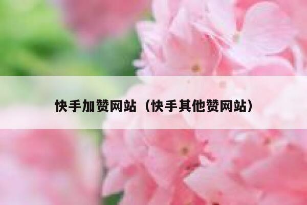 快手加赞网站（快手其他赞网站） 第1张