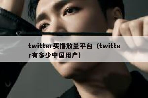 twitter买播放量平台（twitter有多少中国用户） 第1张