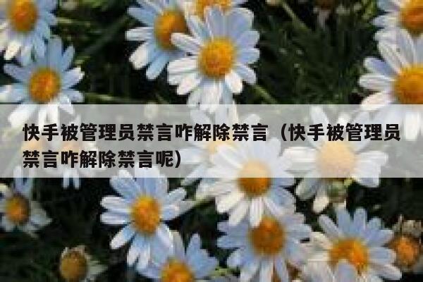 快手被管理员禁言咋解除禁言（快手被管理员禁言咋解除禁言呢） 第1张