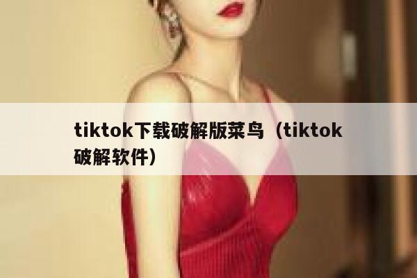 tiktok下载破解版菜鸟（tiktok破解软件） 第1张