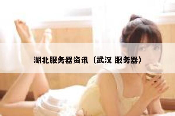 湖北服务器资讯（武汉 服务器） 第1张