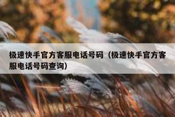 极速快手官方客服电话号码（极速快手官方客服电话号码查询） 第1张