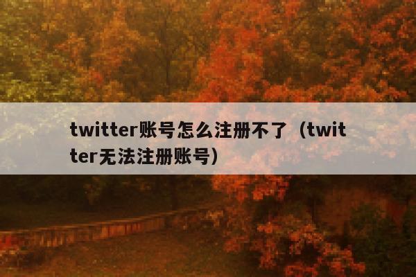 twitter账号怎么注册不了(twitter无法注册账号) 第1张 twitter账号怎么注册不了(twitter无法注册账号) 第1张
