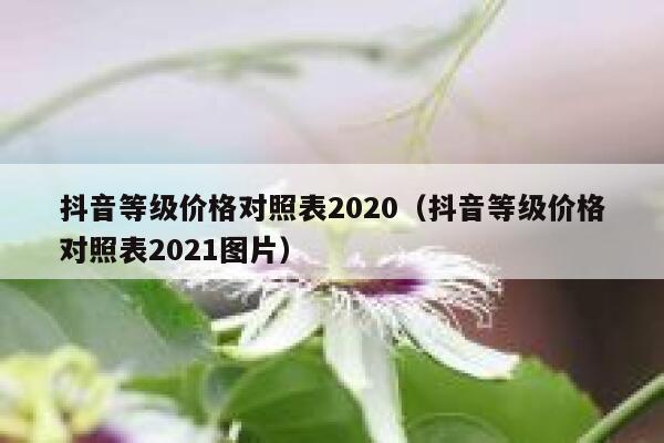 抖音等级价格对照表2020（抖音等级价格对照表2021图片） 第1张